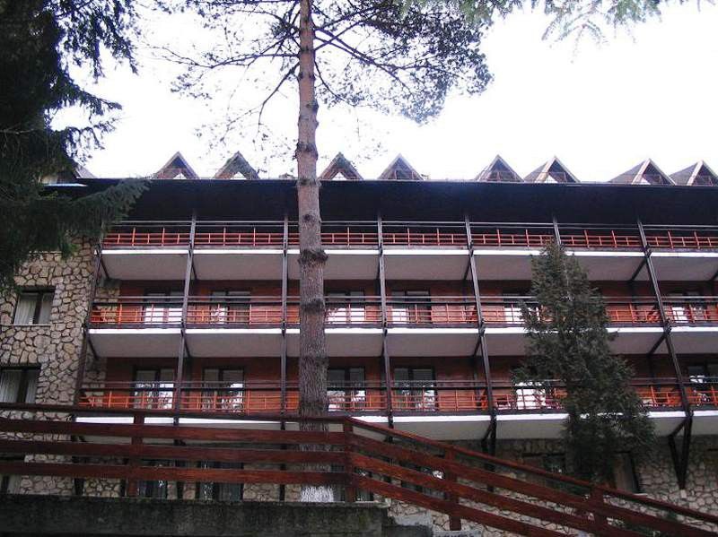 Ana Hotels Bradul Poiana Brasov Eksteriør bilde